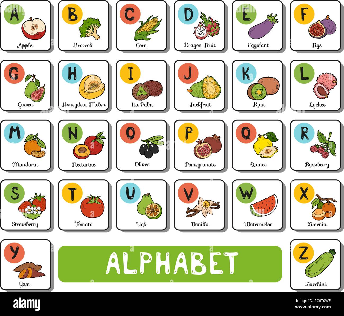 Alphabet de couleur vectorielle avec fruits et légumes sur fond blanc. Carte carrée avec lettres