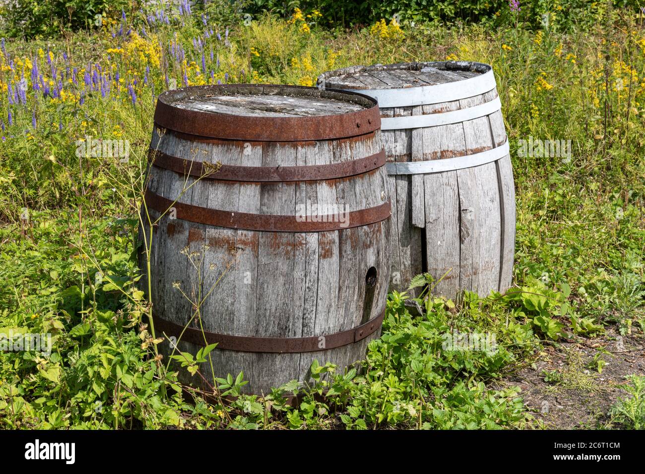 Vieux barils en bois délabré avec des cerceaux en métal rouillé sur l'île de Harakka, en face d'Helsinki, en Finlande Banque D'Images