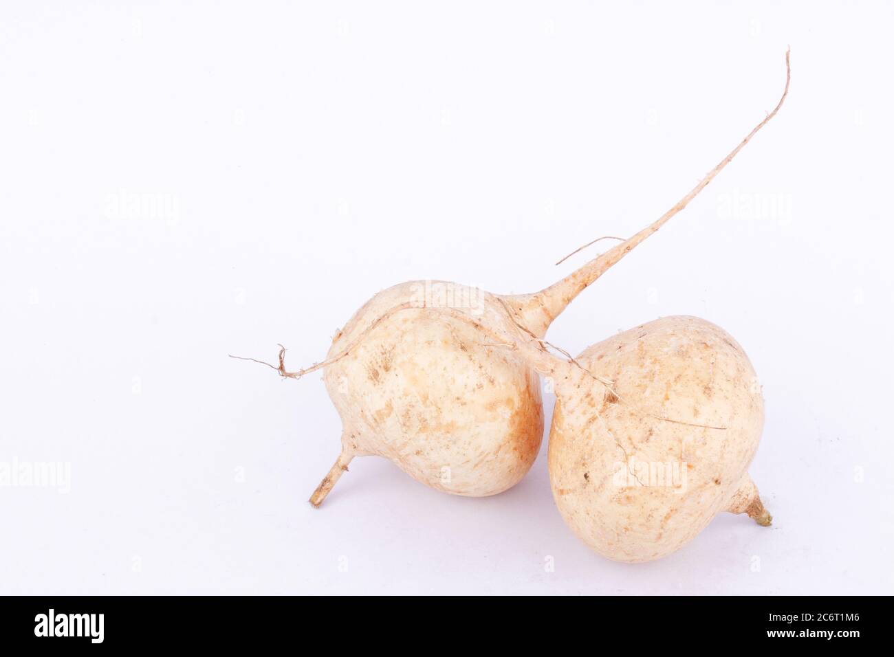 Le haricot de Yam ( Jicama ) est un aliment de fruits à racines bulbeuses sur fond blanc Banque D'Images