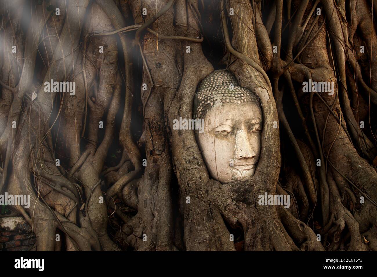 Tête de Bouddha antique surcultivée par les racines de l'arbre de Bodhi à Wat Mahathe, Parc historique d'Ayutthaya, site du patrimoine mondial, Phra Nakhon si Ayutthaya. Banque D'Images