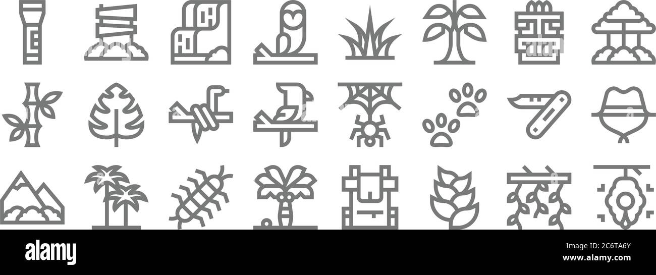 icônes de la ligne de jungle. ensemble linéaire. ensemble de lignes vectorielles de qualité telles que ruche, huche, palmier, montagnes, serpent, arbre, herbe, route Illustration de Vecteur