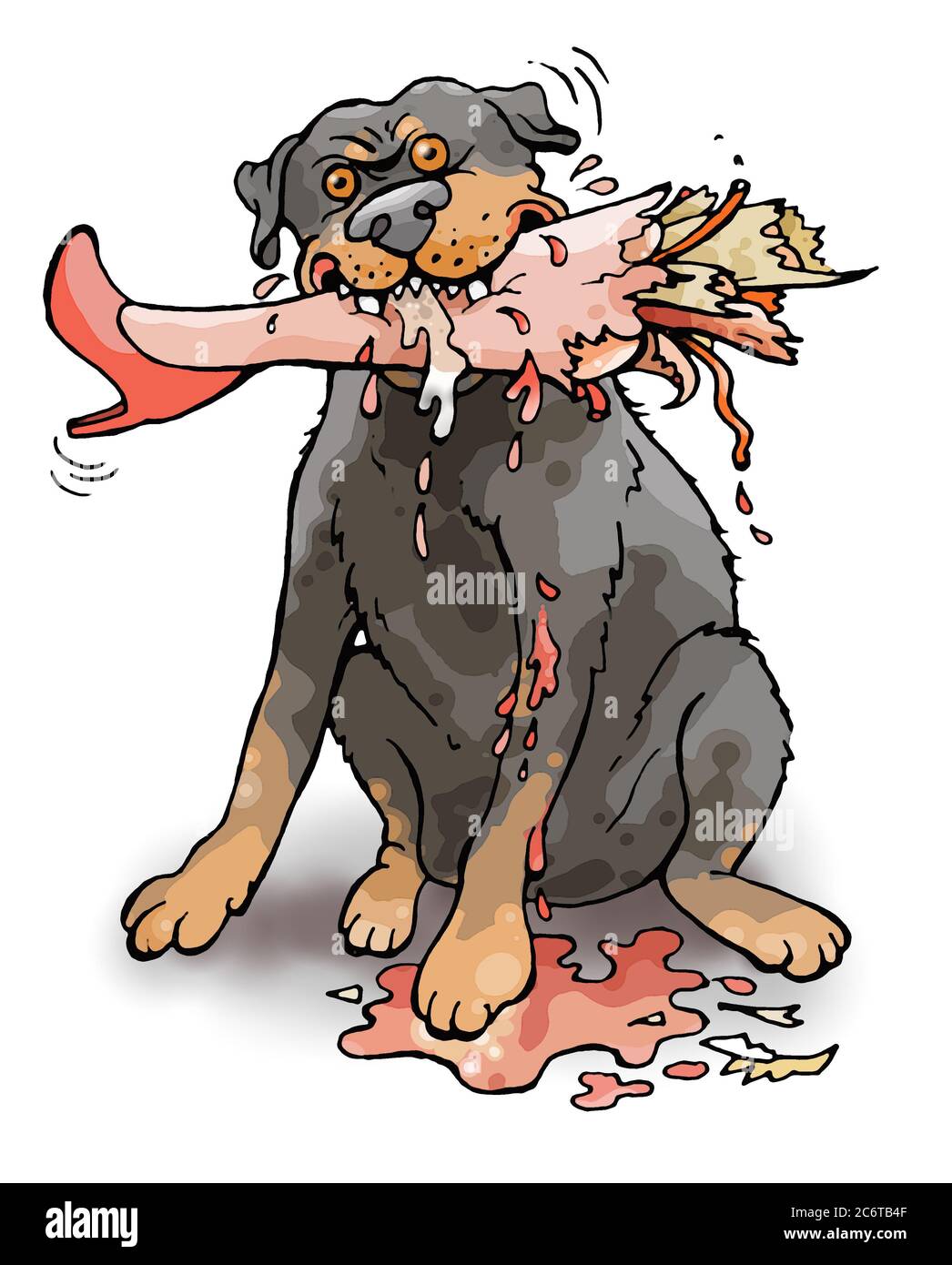 Rottweiler agressif, chien en bas d'une jambe d'une femme avec une chaussure rouge avec talon à talons aiguilles. L'animal a la jambe sanglante dans sa bouche Banque D'Images