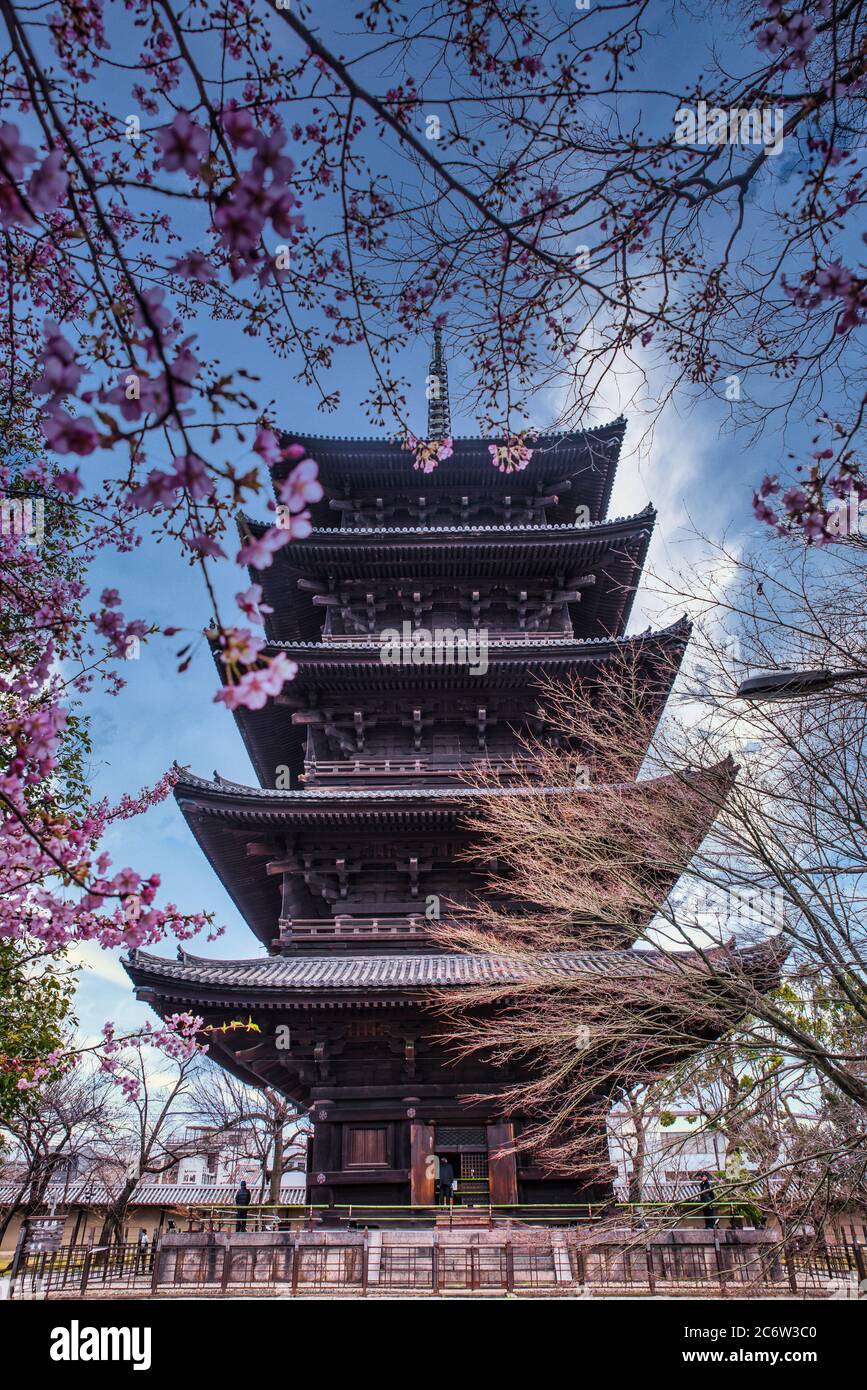 La pagode de kyoto est l'un des plus anciens temples entourant les fleurs Banque D'Images