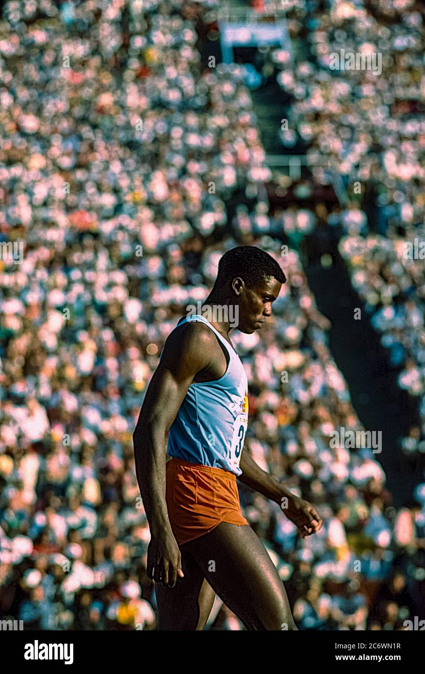 Carl Lewis (USA) en compétition aux épreuves de terrain et d'athlétisme américaines de 1984 Banque D'Images