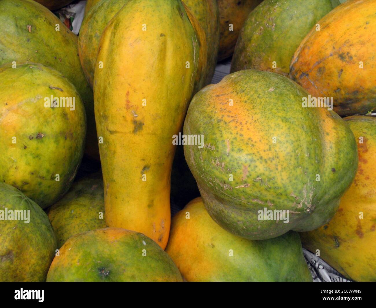 La papaye, connue localement sous le nom de Pepe, est un fruit commun au Bangladesh disponible tout au long de l'année. Bangladesh. 14 avril 2007. Banque D'Images
