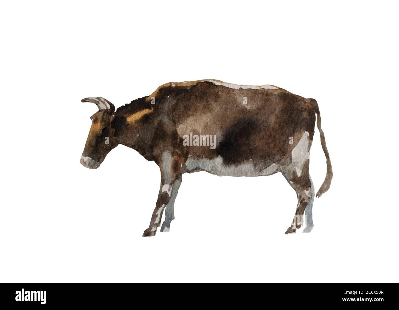 Taureau brun aquarelle debout. Illustration originale d'un animal de ferme isolée sur fond blanc Banque D'Images