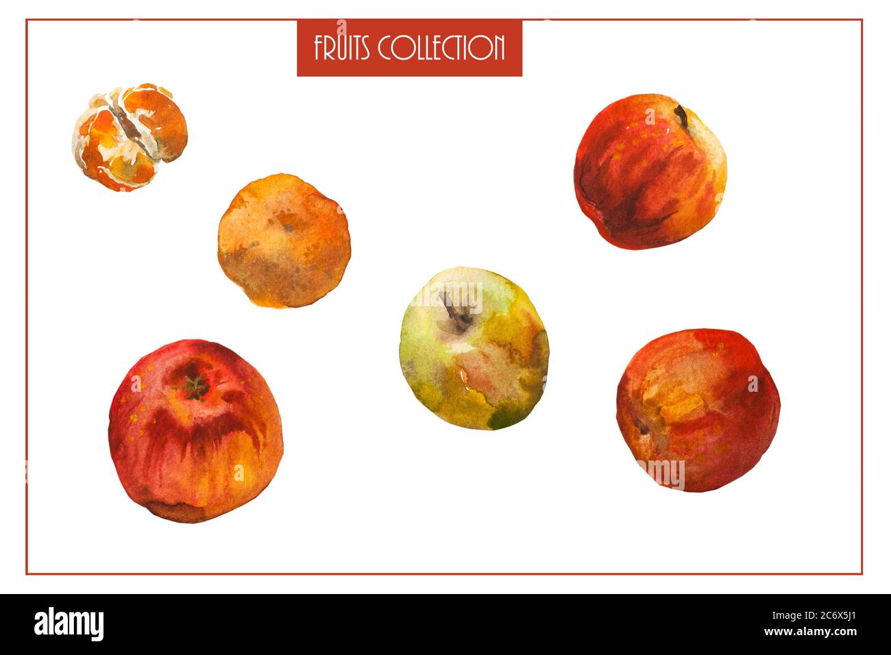 Ensemble de fruits aquarelles de mandarine avec segment épluché et pommes vertes et rouges isolées sur fond blanc Banque D'Images