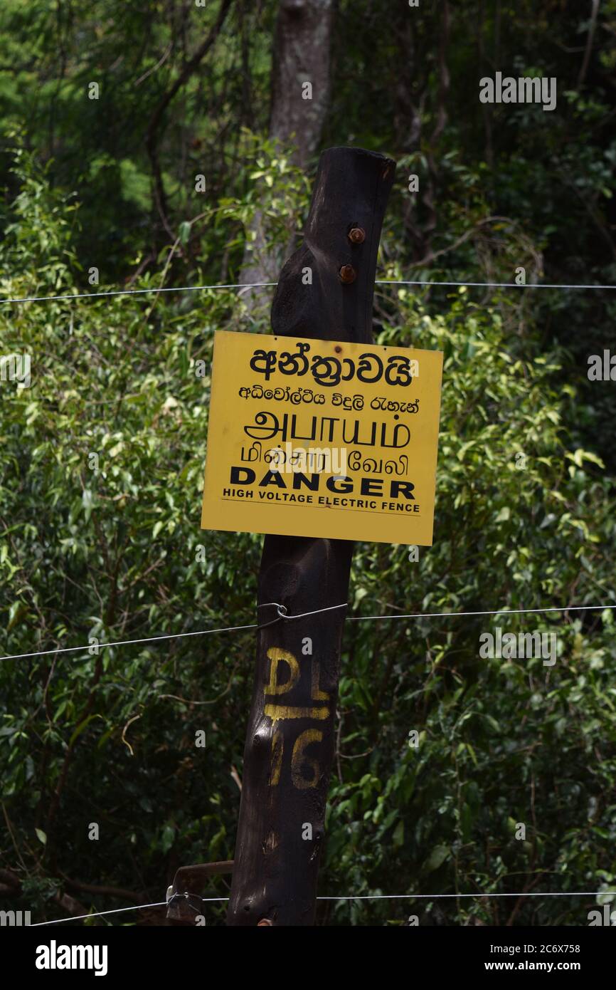 Le pic Riverston situé dans les collines centrales du Sri Lanka peut être atteint en voyageant environ 178 km de Colombo. Riverston offre certaines des meilleures vues sur la campagne environnante, dans la mesure où elle est appelée le Mini World’s End. La région offre la beauté naturelle du Sri Lanka; frais, vert et non pollué par les vendeurs, les touristes, les ordures et les bâtiments peu esthétiques. Banque D'Images