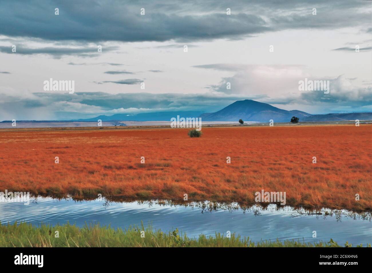 La plus grande partie sud de la région de klamath Lake march dans le sud de l'Oregon, qui abrite des millions d'oiseaux sauvages et migrateurs Banque D'Images