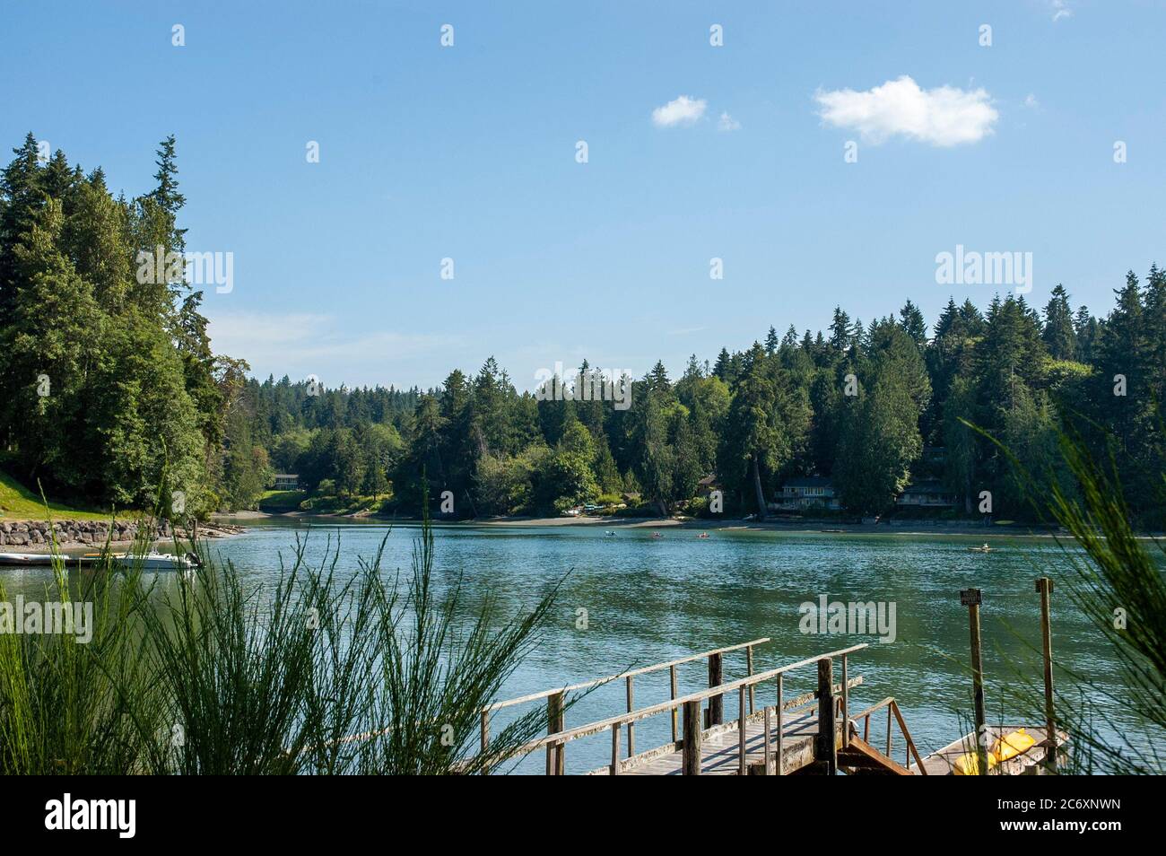 Manzanita Bay sur l'île de Bainbridge, WA, Puget Sound Banque D'Images