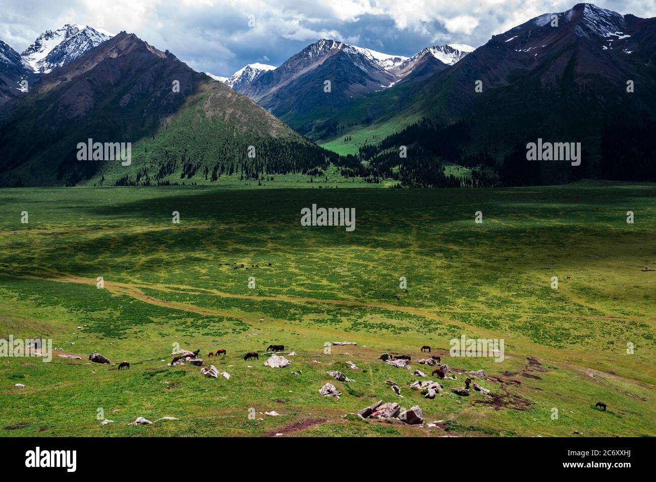 Un paysage merveilleux le long de la route Duku, qui est reconnue comme la plus belle autoroute, nord-ouest de la Chine Xinjiang Uyghur région autonome, 13 Ju Banque D'Images