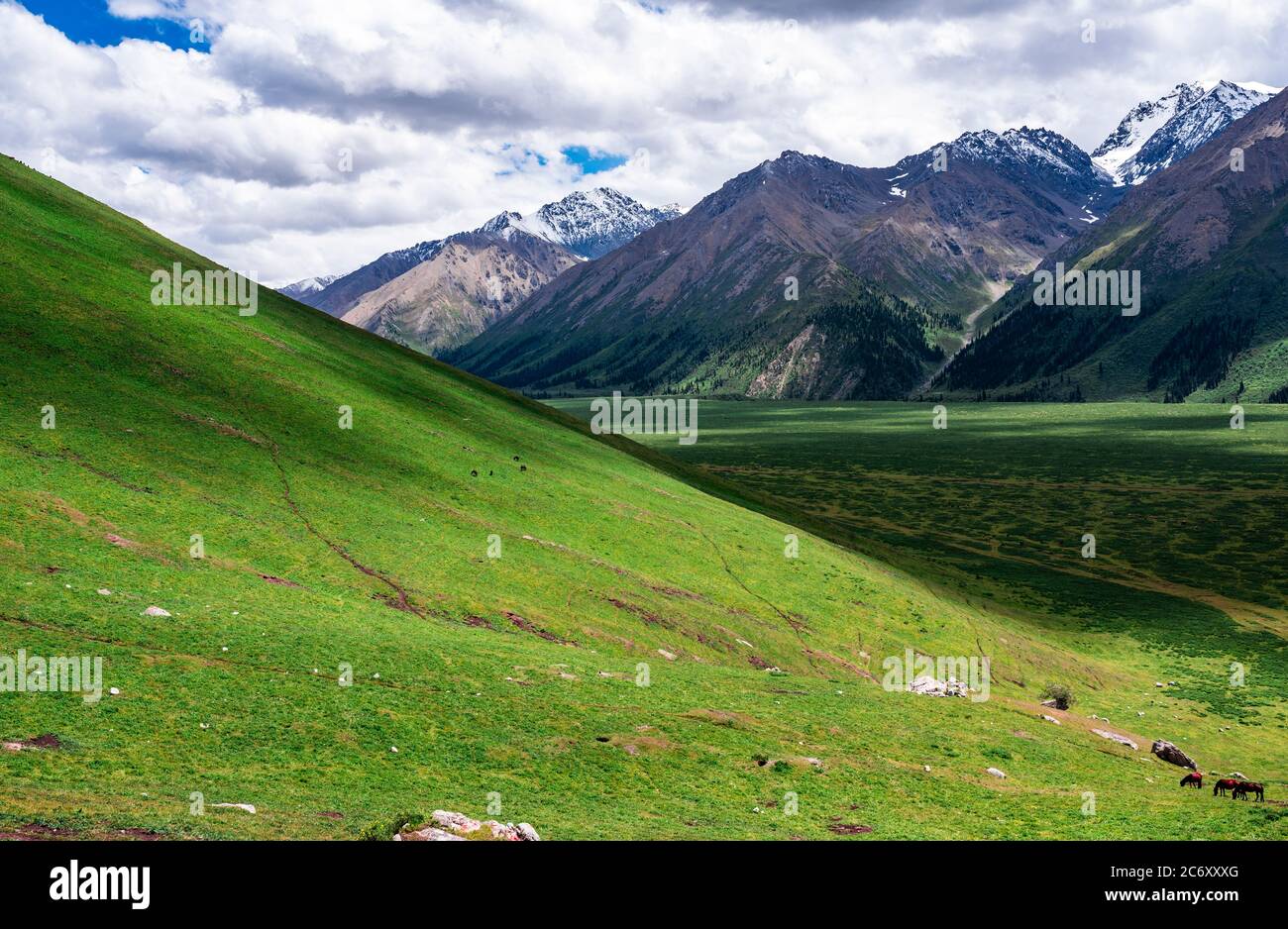 Un paysage merveilleux le long de la route Duku, qui est reconnue comme la plus belle autoroute, nord-ouest de la Chine Xinjiang Uyghur région autonome, 13 Ju Banque D'Images