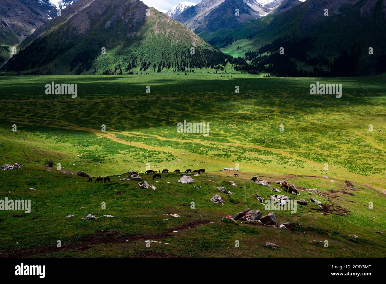 Un paysage merveilleux le long de la route Duku, qui est reconnue comme la plus belle autoroute, nord-ouest de la Chine Xinjiang Uyghur région autonome, 13 Ju Banque D'Images