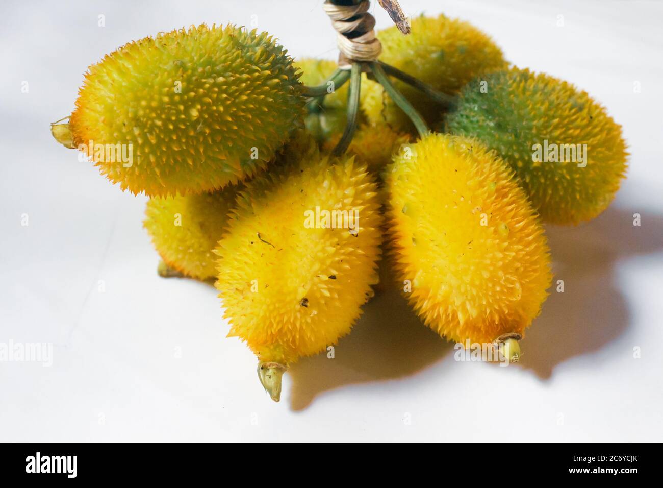 Gourdes épineuses sur surface blanche, légumes frais pour une bonne santé, nouvelle image de stock. Banque D'Images