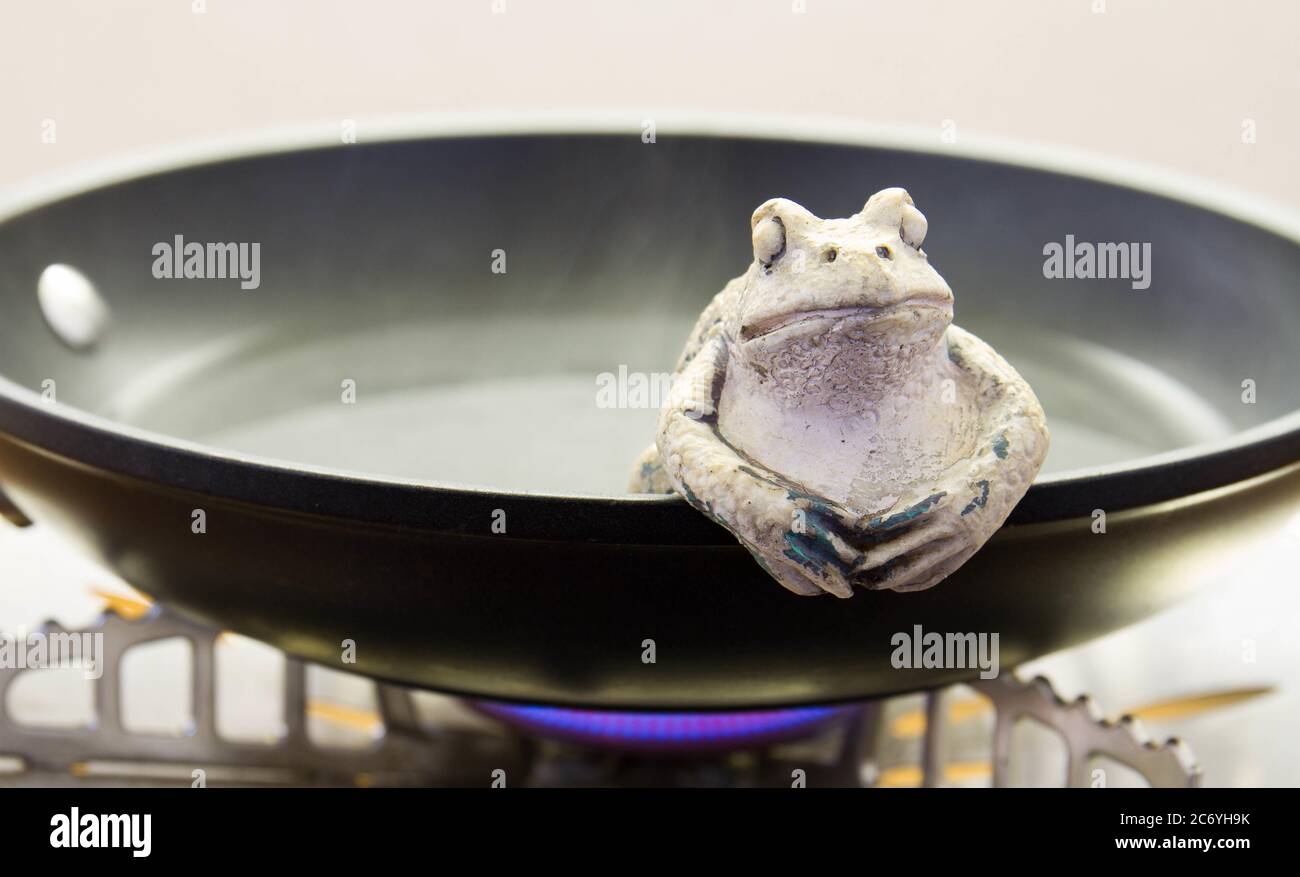 Les grenouilles en céramique étant bouillies dans une casserole sur une  image conceptuelle de poêle en format horizontal Photo Stock - Alamy