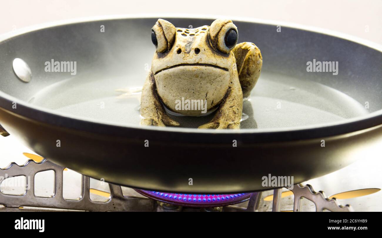 Les grenouilles en céramique étant bouillies dans une casserole sur une  image conceptuelle de poêle en format horizontal Photo Stock - Alamy