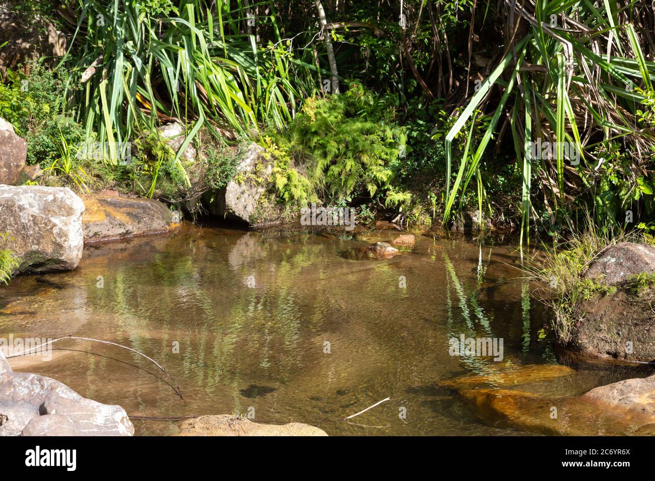 Un petit lac avec de l'eau cristalline Banque D'Images