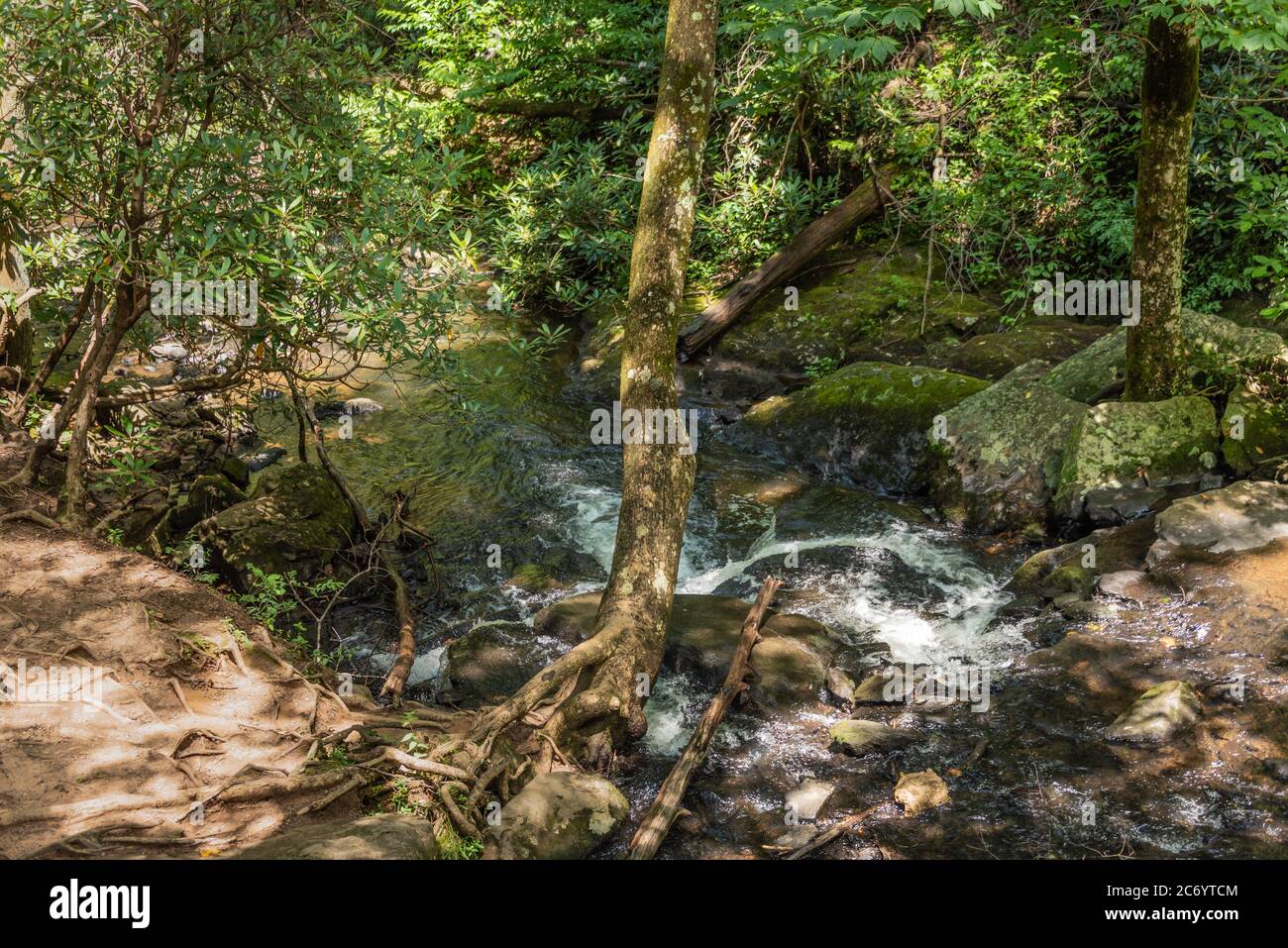 Wolf Creek sous les chutes Trahlyta au parc national Vogel dans les montagnes de la Géorgie du Nord. (ÉTATS-UNIS) Banque D'Images