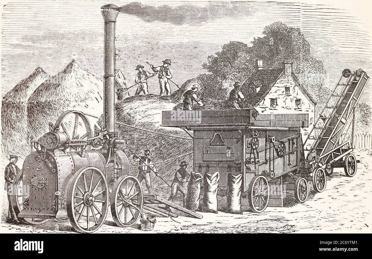 Batteur à vapeur avec élévateur de paille. Gravure du XIXe siècle. Banque D'Images