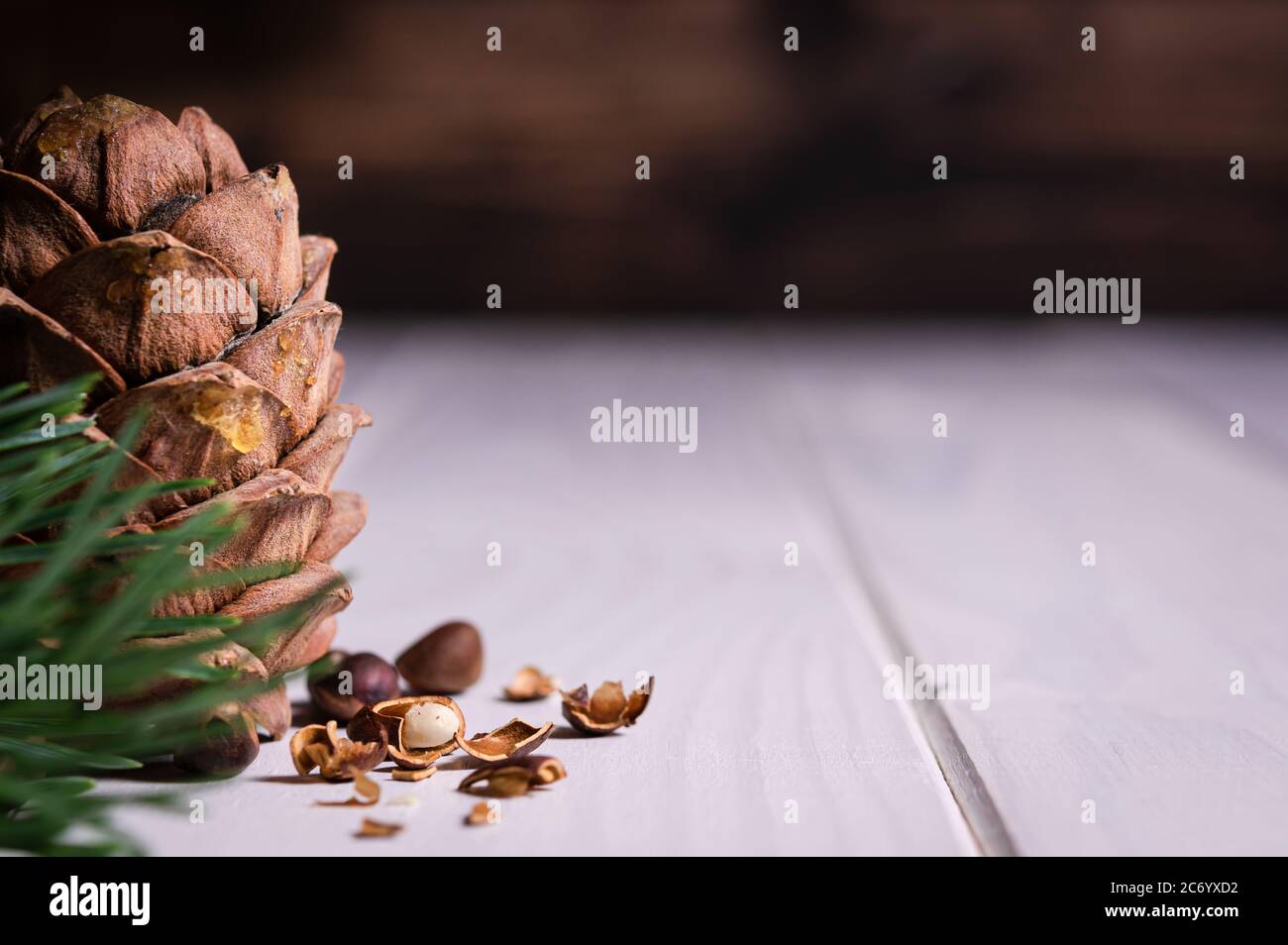 fond naturel avec un endroit vide pour écrire du texte, noix de cèdre avec cône de pin gros plan sur une table en bois clair Banque D'Images