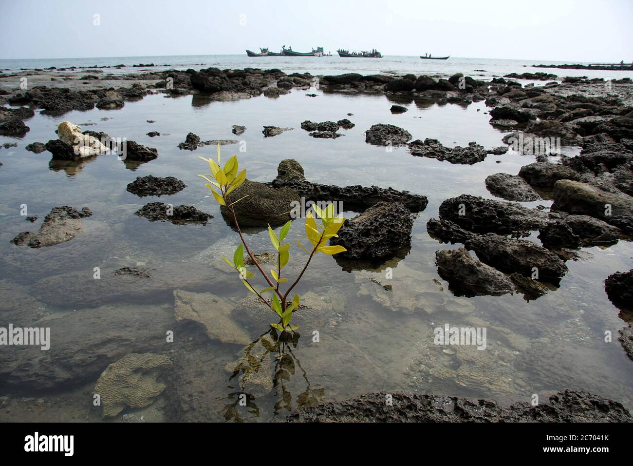 L'île de Saint Martin, connu localement comme Jinjira Narkel, est la seule île de corail et l'un des plus célèbres lieux touristiques du Bangladesh. Cette petite île est située au nord-est de la baie du Bengale, à environ neuf kilomètres au sud de Cox's Bazar. Le Bangladesh. Le 24 février 2009. Banque D'Images