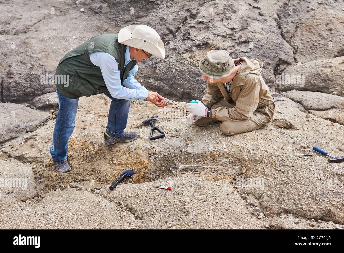 deux archéologues ou paléontologues dans une expédition sur le terrain discutent des os anciens qu'ils ont creusées Banque D'Images