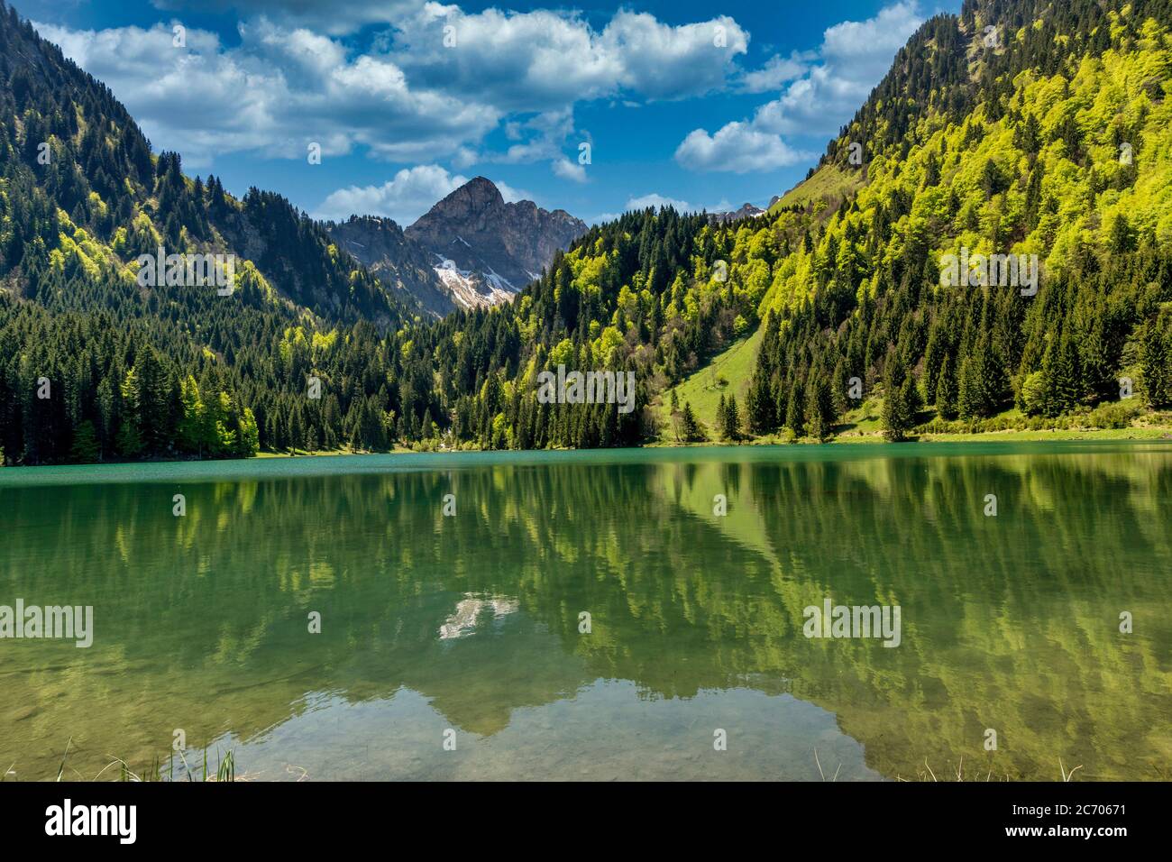 Le lac de Plagnes. Chablais. alpes françaises. Haute-Savoie. Auvergne-Rhône-Alpes. France Banque D'Images