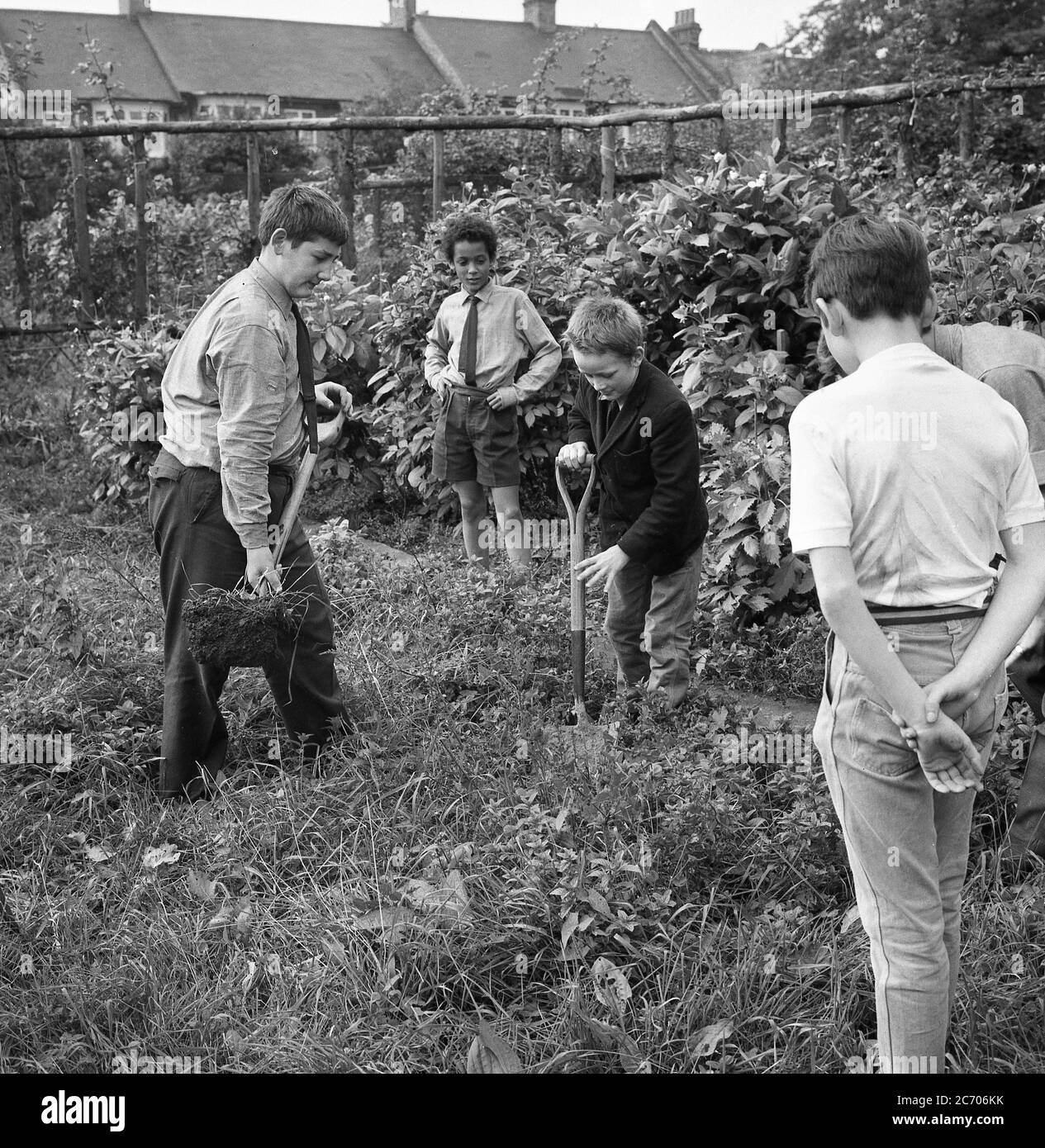 Années 1960, histoire, lycéens, deux avec des bêches, jardinage extérieur dans une école intérieure d'état des garçons de Londres, Londres du Sud, Banque D'Images