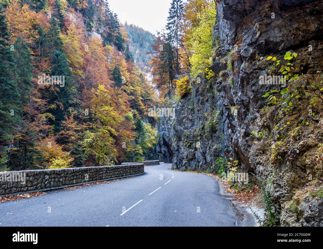 Gorges de la Bourne, le canyon de Bourne près de Villard de Lans, Vercors en France, Europe Banque D'Images