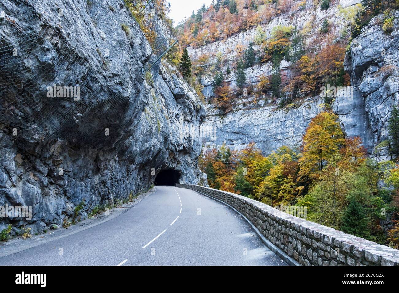 Gorges de la Bourne, le canyon de Bourne près de Villard de Lans, Vercors en France, Europe Banque D'Images