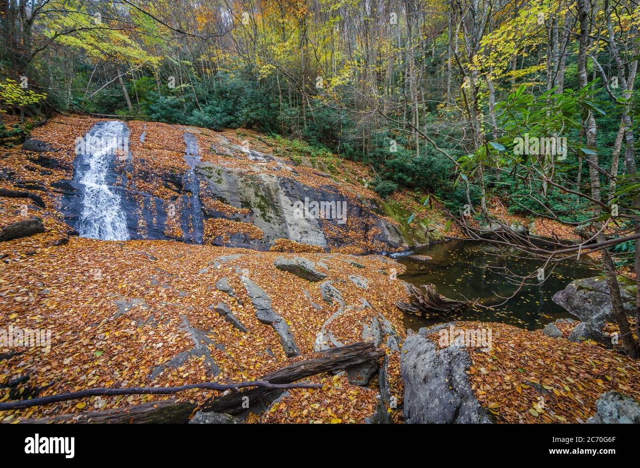 Couleurs d'automne exposées à une cascade le long d'un sentier de randonnée dans les Appalaches de l'ouest de la Caroline du Nord pendant l'automne. Banque D'Images