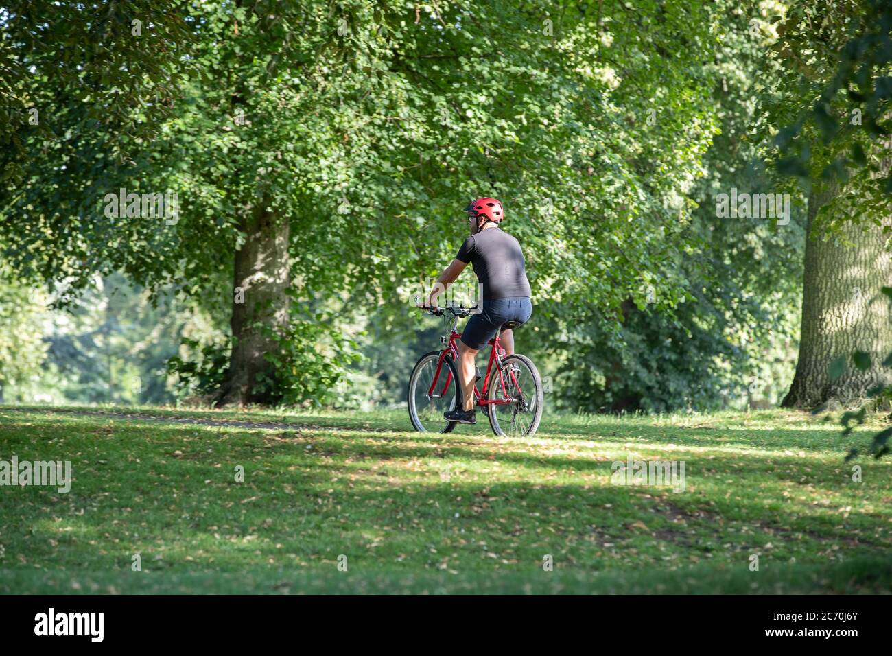 Cycliste masculin sur un vélo rouge se faire un exercice matinal, Abington Park, Northampton, Angleterre, Royaume-Uni. Banque D'Images