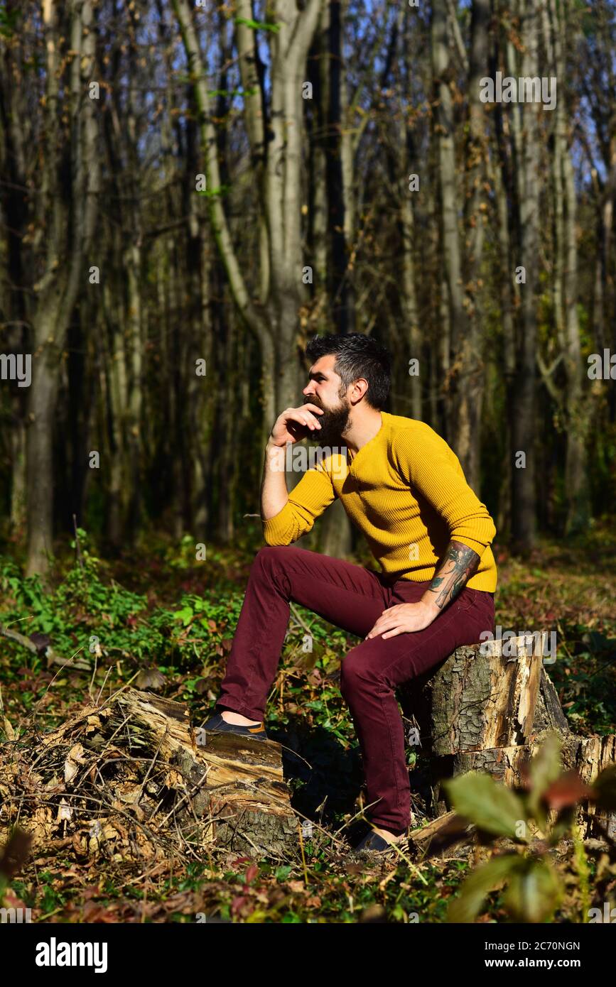 Concept temps d'automne et temps ensoleillé. Macho passe du temps au stationnement. Un homme avec une barbe est assis sur un arbre dans la forêt. Homme avec un visage réfléchi sur un arrière-plan d'arbres Banque D'Images