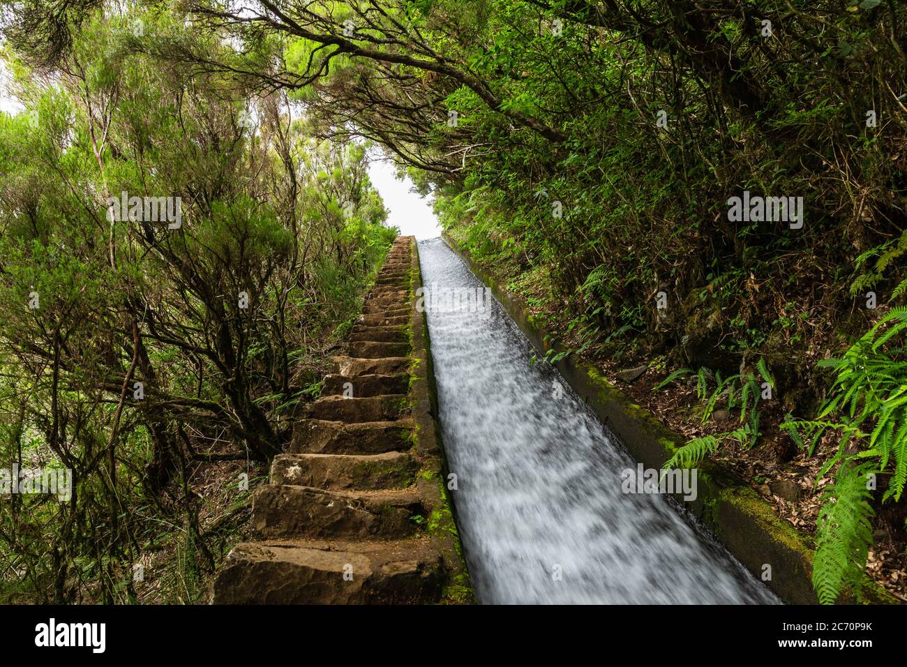 Escaliers en pierre faits main à 'Levada do Alecrim', île de Madère, Portugal Banque D'Images