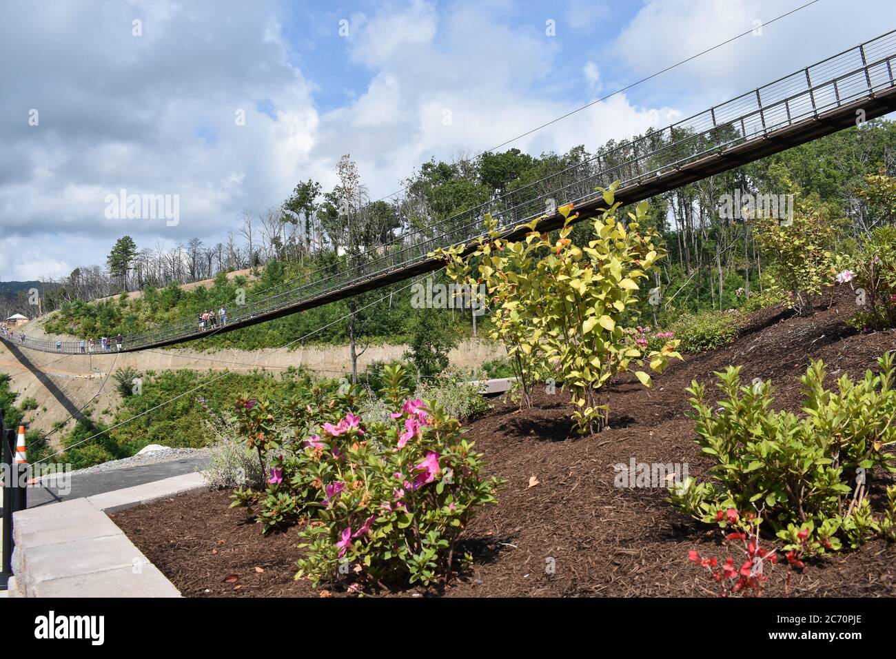 En regardant vers le Skybridge piétonnier dans les Smoky Mountains à Gatlinburg, TN qui a ouvert en 2019, dit être le plus long en Amérique du Nord Banque D'Images