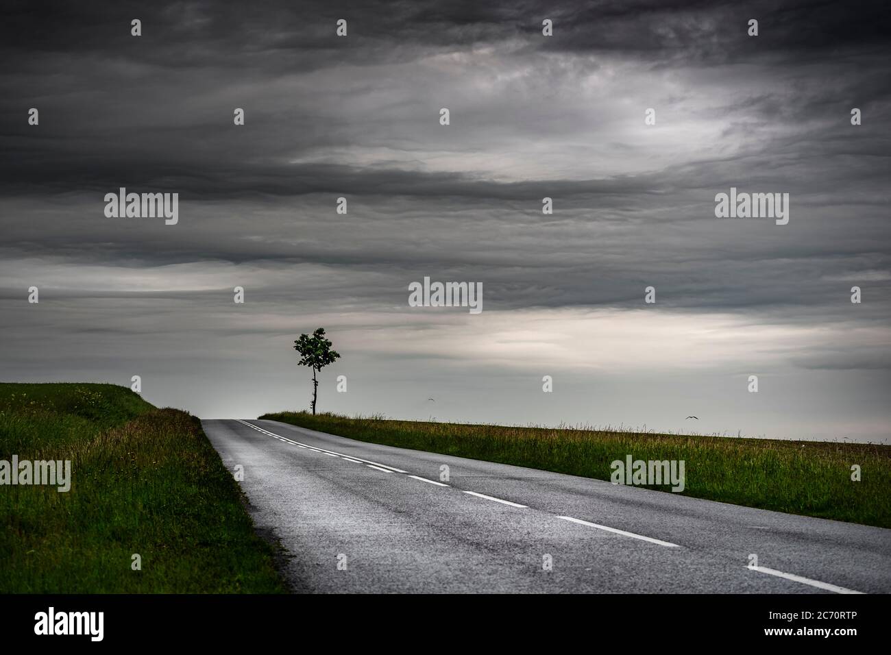 Route sous la pluie Banque D'Images