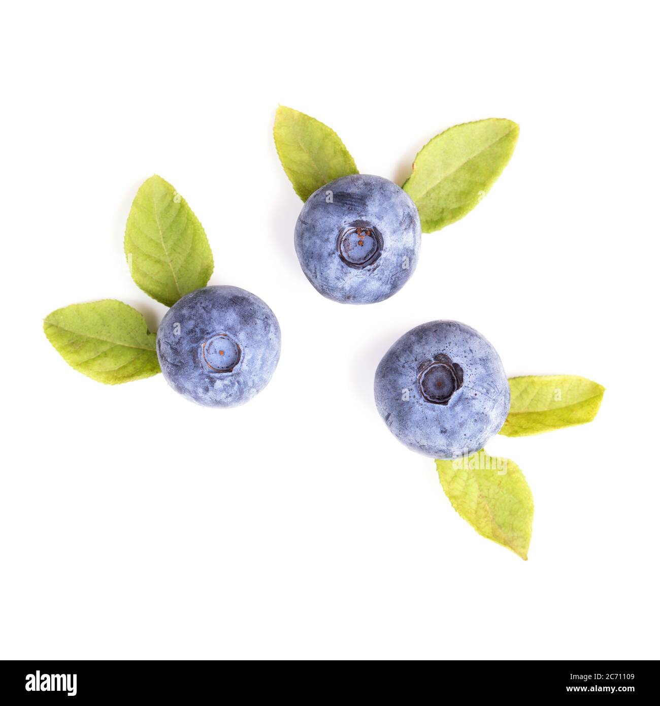 Bleuets avec feuilles isolées sur fond blanc, vue du dessus Banque D'Images