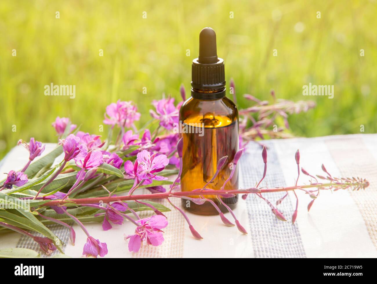 Bouquet de Chamaenerion angustifolium, pompier, grande wlowherb, rosebay willowherb, Saint Anthony's Laurel : fleur médicinale à base de plantes roses avec. Banque D'Images