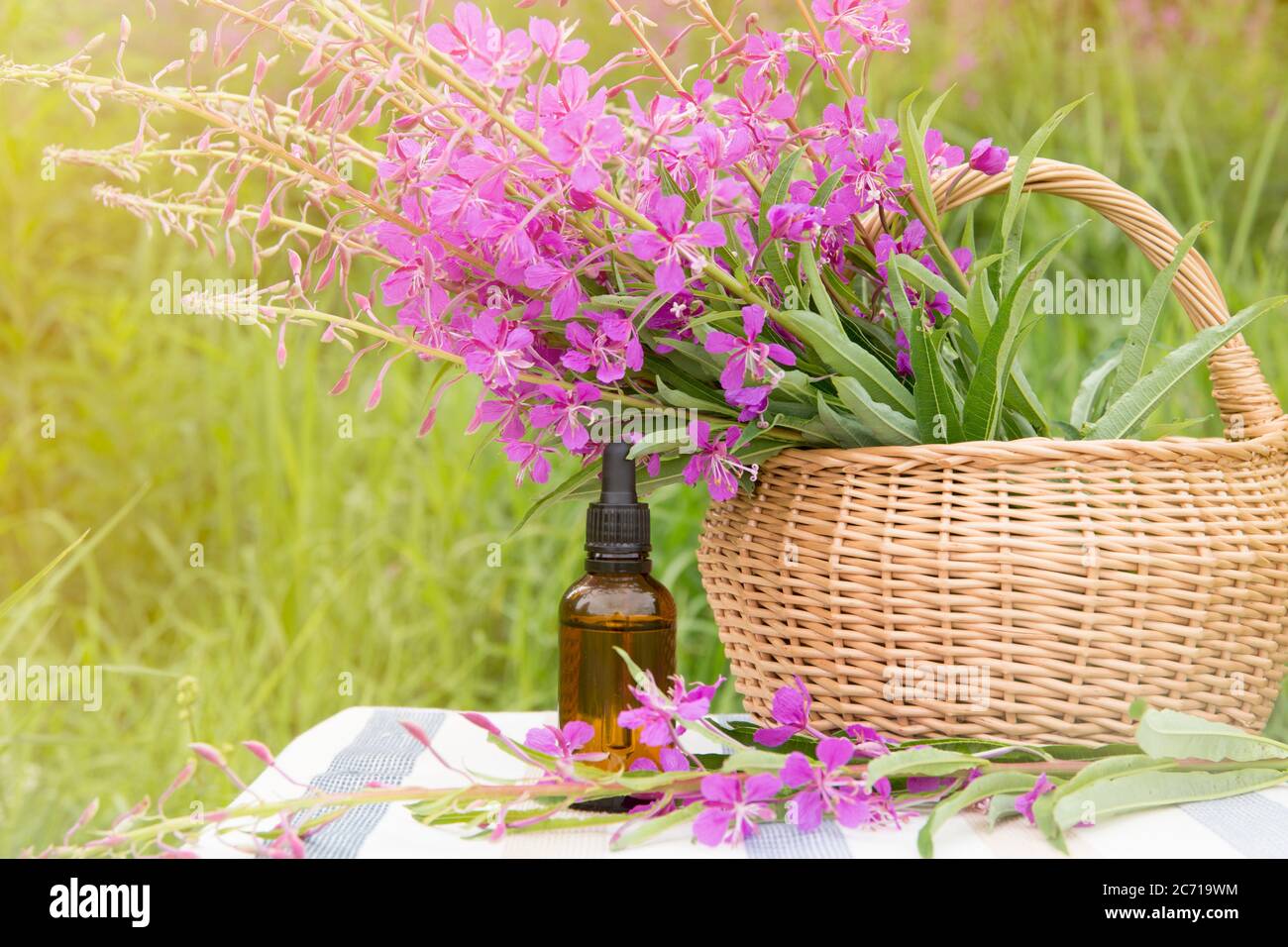 Bouquet de Chamaenerion angustifolium, pompier, grande wlowherb, rosebay willowherb, Saint Anthony's Laurel : fleur médicinale à base de plantes roses avec. Banque D'Images