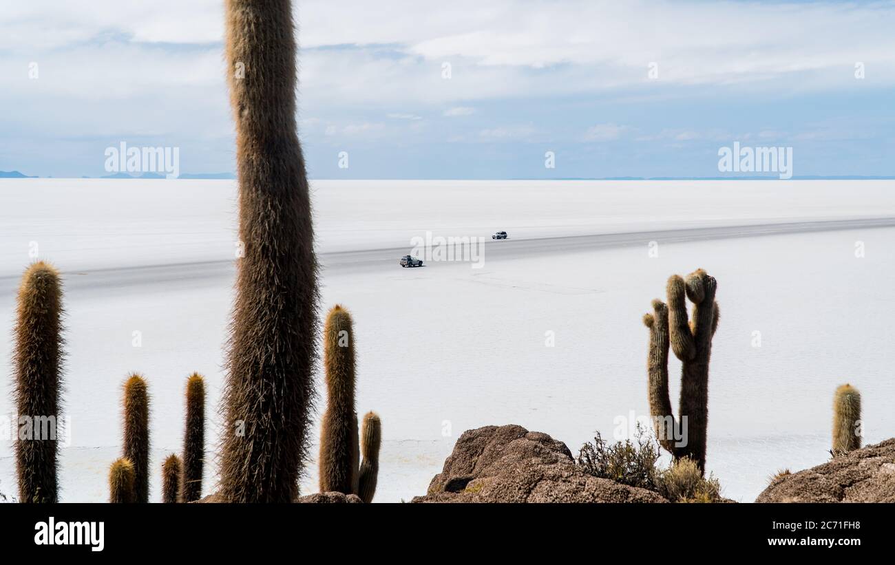 Île Incahuasi dans le Saline Salar de Uyuni, Aitiplano, Bolivie Banque D'Images