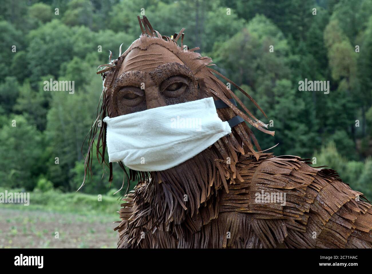 Bigfoot portant le masque antivirus COVID-19, bord de forêt, folklore nord-américain, Bigfoot ou Sasquatch sont dit être poilu, debout marchant comme un singe. Banque D'Images
