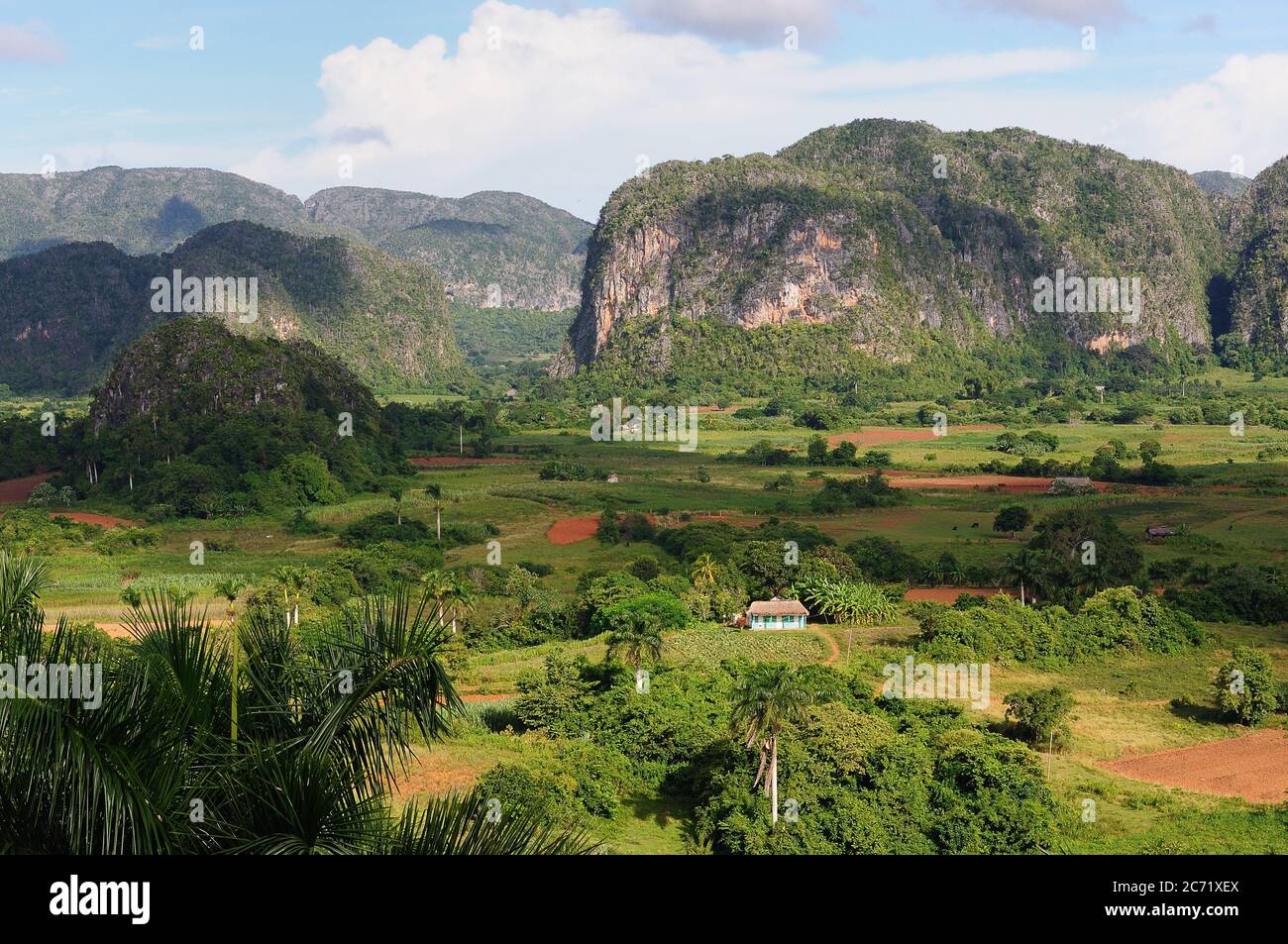 Vue sur la vallée du tabac Viniales à Cuba Banque D'Images