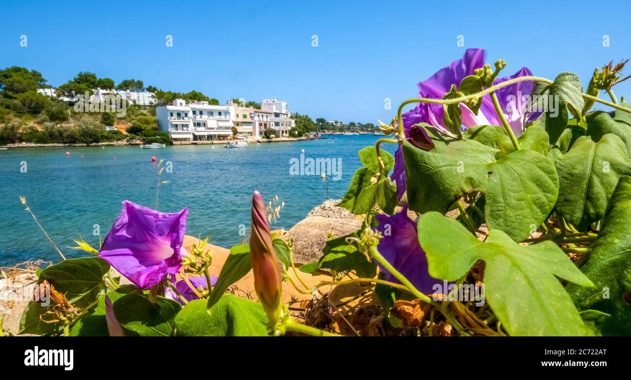 Promenade vide à Porto Petro, station touristique dans le sud de Majorque, Europe, Iles Baléares, Espagne, ES, Voyage, tourisme, destination, tourisme Banque D'Images
