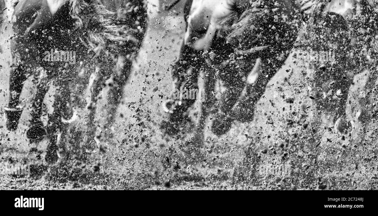 Les coureurs redonnent la surface Polytrack en contournant le virage dans l'Unibet grâce au handicap des travailleurs de première ligne à l'hippodrome de Kempton Park. ***NOTE DES ÉDITEURS: Cette image a été traitée à l'aide de filtres numériques*** Banque D'Images