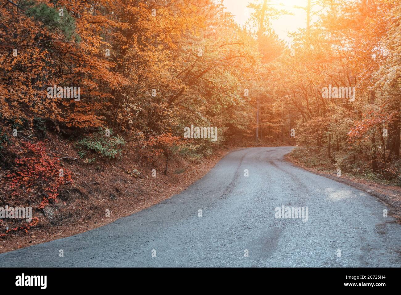 Forêt d'automne. Paysage enchanteur mystique avec une route dans la forêt d'automne et des feuilles mortes sur le trottoir paysage coloré avec des arbres Banque D'Images