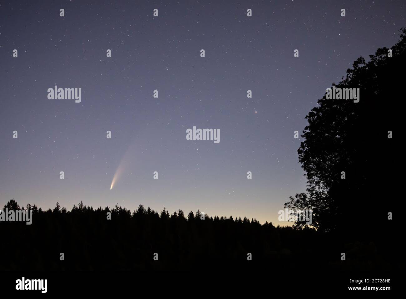 Comet Neowise, en passant à 64 millions de kilomètres de la Terre, vue du Nord du Yorkshire, Angleterre. Banque D'Images