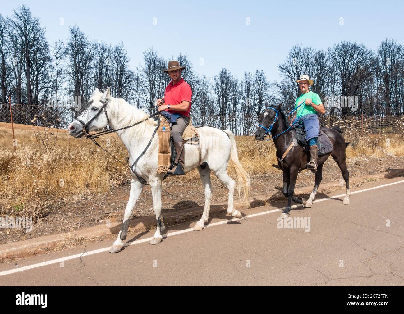 Hommes à cheval dans les montagnes de Gran Canaria, îles Canaries, Espagne. Banque D'Images
