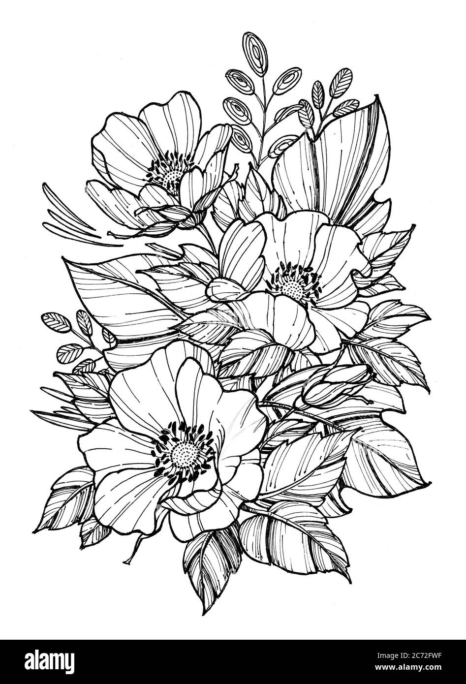 Tatouage Coquelicot Noir Et Blanc Poppy tattoo Banque de photographies et d'images à haute résolution - Alamy