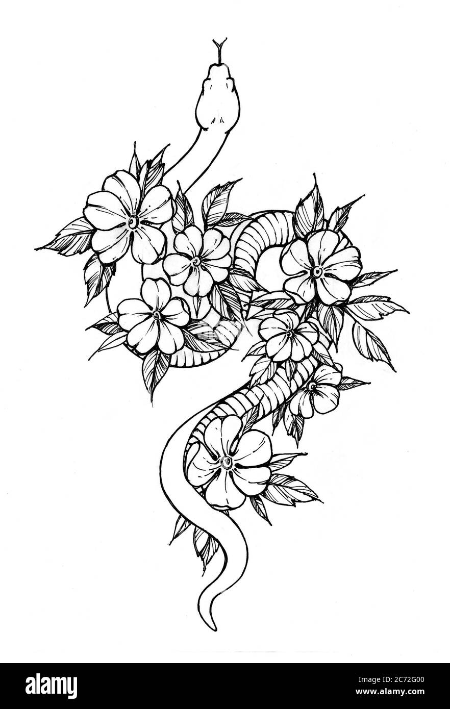 Fleurs décorées de serpent tatouage. Motif T-shirt Banque D'Images