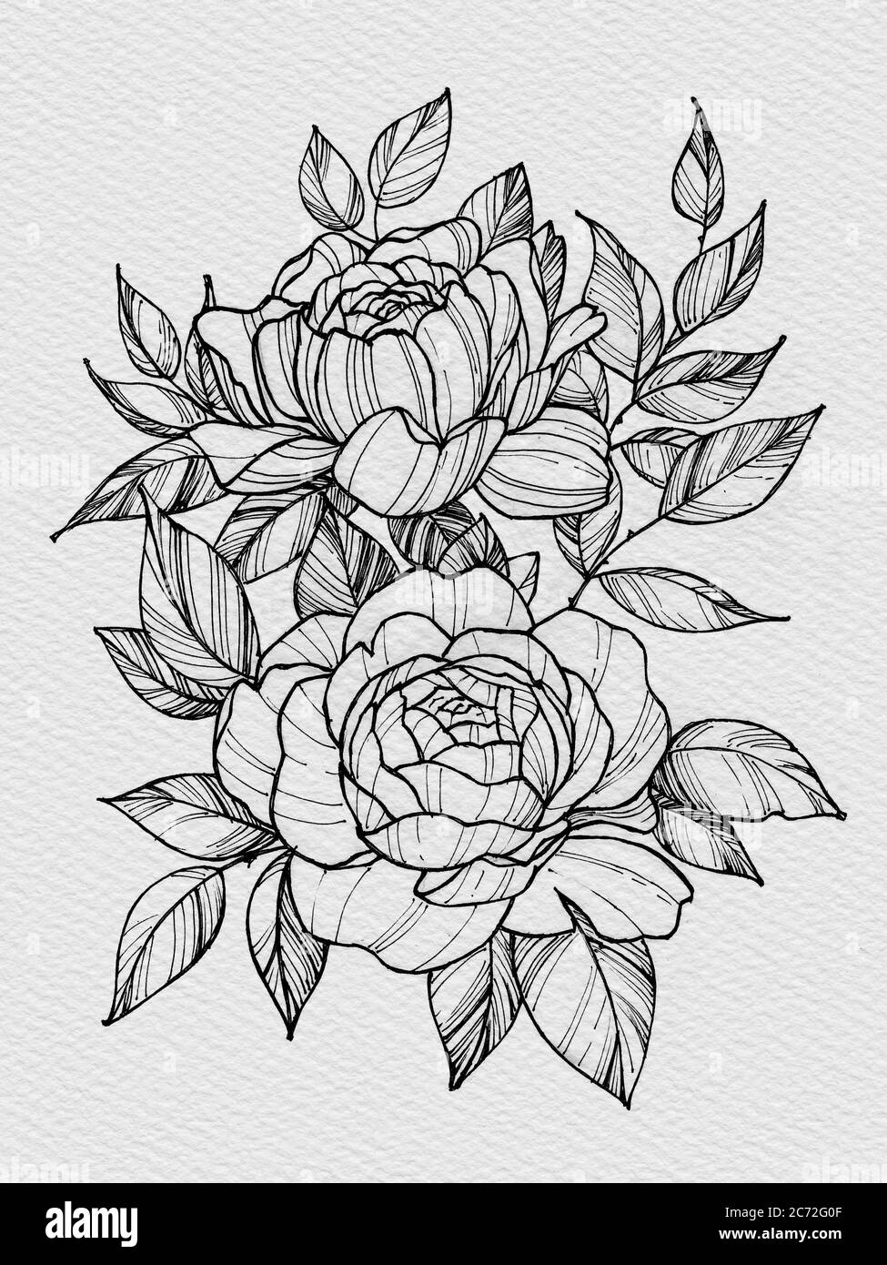 Branche de fleurs tattoo. Branche de rose en fleurs Banque D'Images